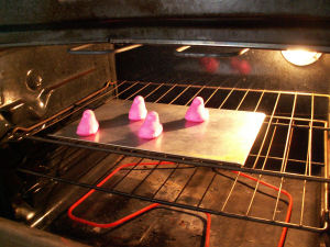 Peeps in the oven